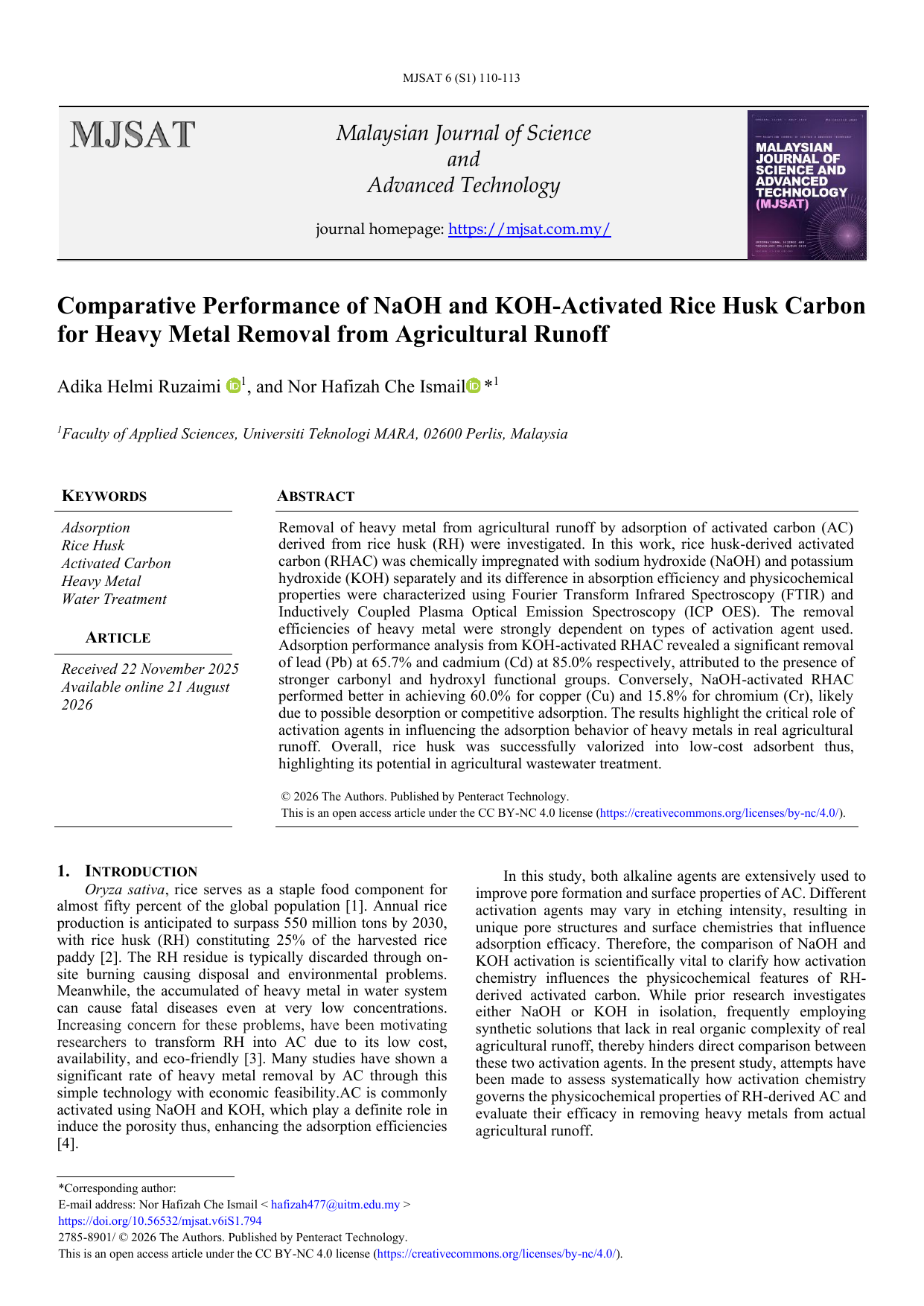 Comparative Performance of NaOH and KOH-Activated Rice Husk Carbon for Heavy Metal Removal from Agricultural Runoff